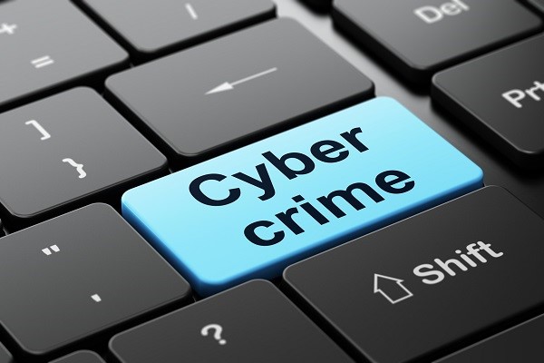 cybercrime 13