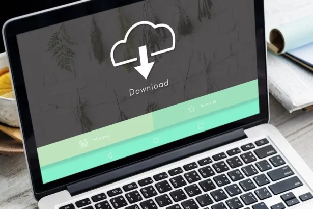 RqKVi2WSCc5sZaXEPWu5aX 1200 80