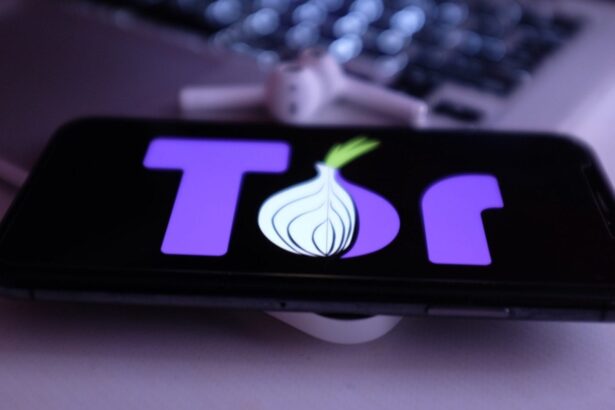 Як користуватися браузером Tor: встановлення, мости й налаштування безпеки