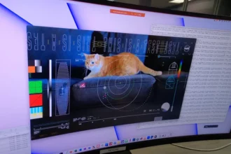 NASA передало на Землю відео кота на ім'я Татерс з далекого космосу
