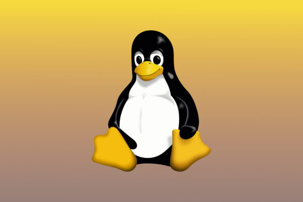 Вийшов Linux 6.19 з анонсом майбутньої версії 7.0