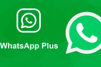 Meta тестує платну підписку WhatsApp Plus: що отримають передплатники і скільки це коштуватиме