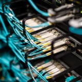 Щільно пронумеровані кабелі в патч-панелі серверної шафи
