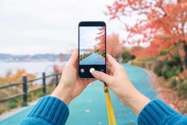 Руки з телефоном фотографують осінню алею з помаранчевим листям
